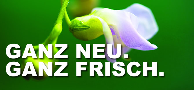Illustration Weblog/News mit Aufschrift: Ganz neu. Ganz frisch.