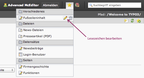 Bildschirmausschnitt TYPO3-Backend - Lesezeichen bearbeiten