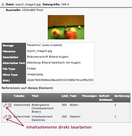 Bildschirmausschnitt TYPO3 CMS - Dateireferenzen bei Bildern anzeigen