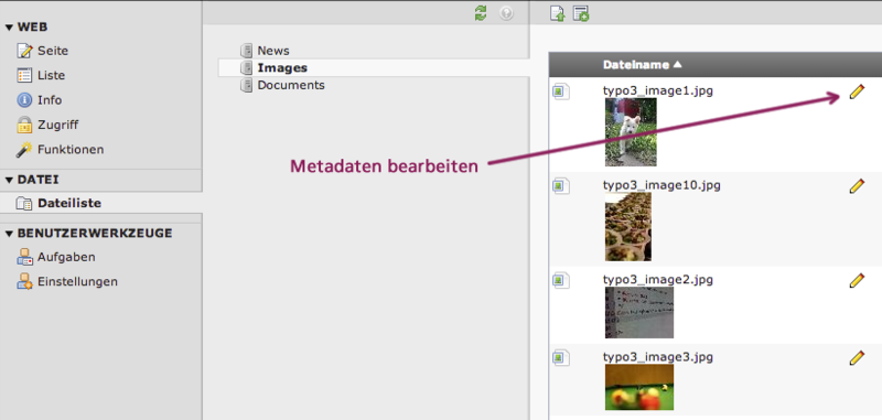 Bildschirmausschnitt TYPO3 CMS - Modul Dateiliste