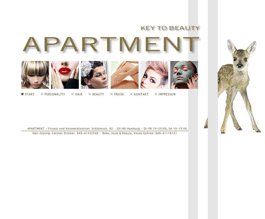 Abbildung Startseite Apartment Website