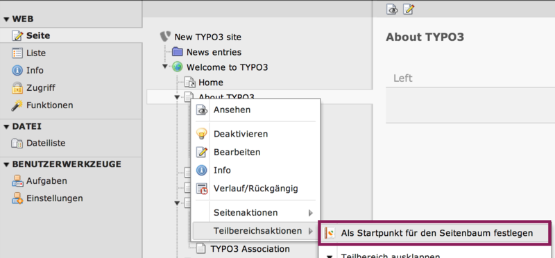 Bildschirmausschnitt TYPO3 CMS - Teilbereichsaktionen im Kontextmenü